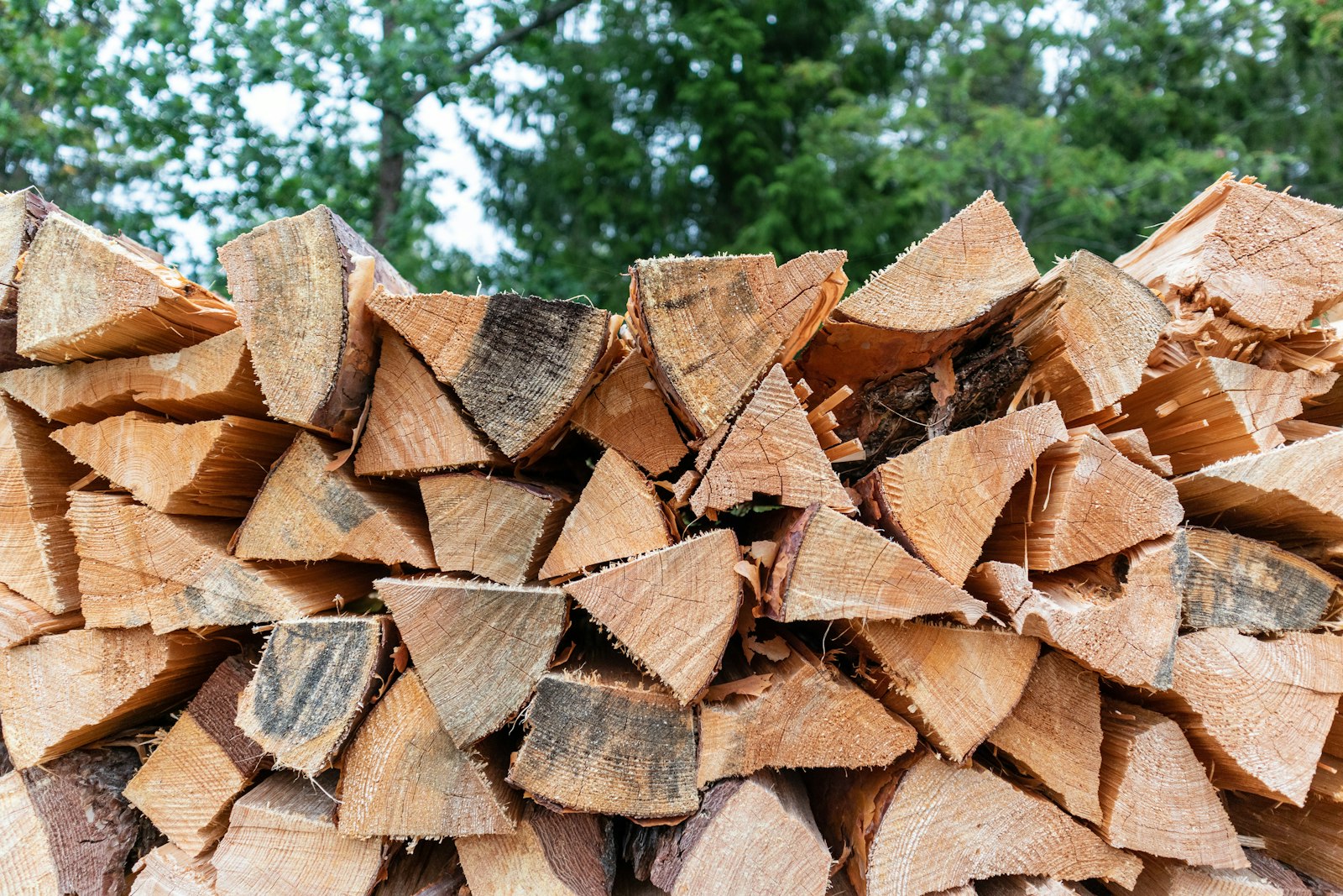 Grillen mit Holz Glut