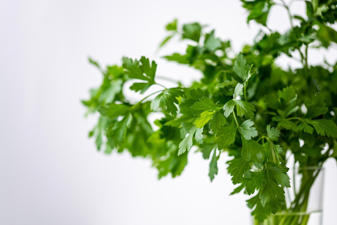 Meal-Prep für Berufstätige: So plant ihr eine Woche in 2 Stunden